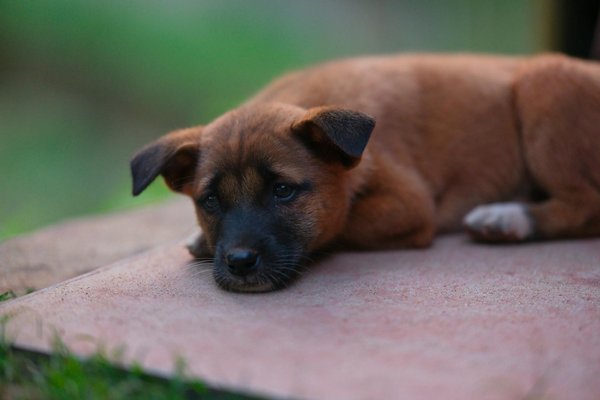 ¿Cómo evaluar una propiedad antes de invertir?